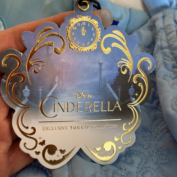 Disney Cinderella Exclusive Torrid Collection - Picture 10 of 12